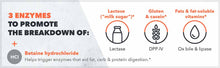 Load image into Gallery viewer, DIGESTZYMES™ 90 OR 180 CAPSULES