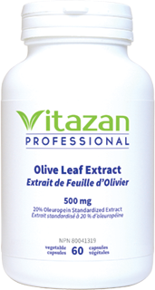 Olive Leaf Extract (500 mg, 20% Oleuropein Standardized Extract) 60 veg capsules