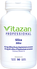 Silica (42 mg Silica á 7% Extract) 90 veg capsules
