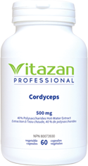 Cordyceps (500 mg á Paecilomyces hepiali Hot-Water Extract)  60 veg capsules