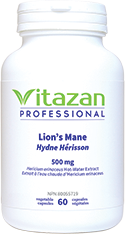 LionÕs Mane (500 mg á Hericium erinaceus Hot-Water Extract)  60 veg capsules
