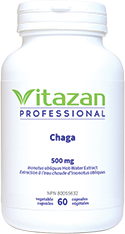 Chaga (500 mg á Inonotus obliquus Hot_Water Extract) 60 veg capsules
