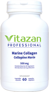 Marine Collagen (500 mg á Standardized to 30 mg Elastin) 60 veg capsules